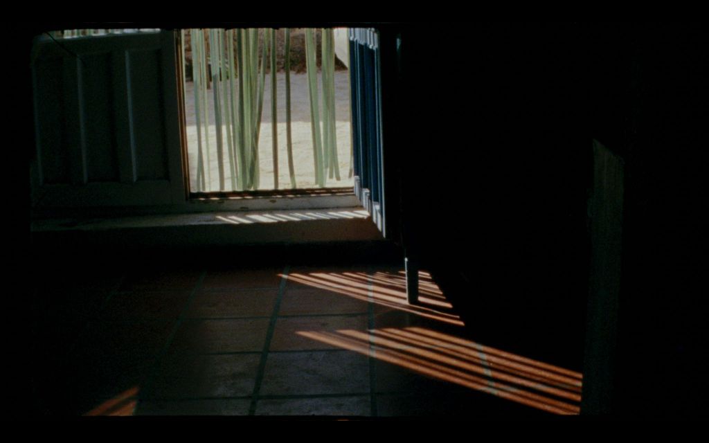 Still from the film Murmurare