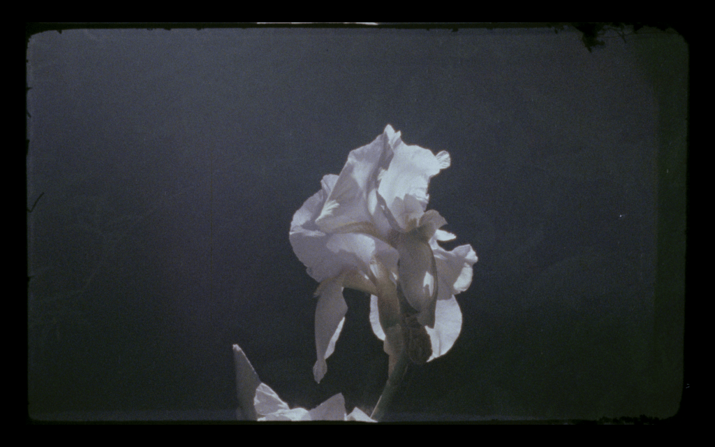 Still from the film Murmurare by Ula Moroz