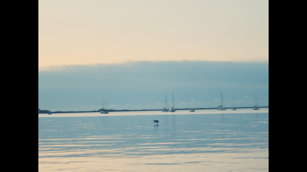 Still from the film Sail in the Wind